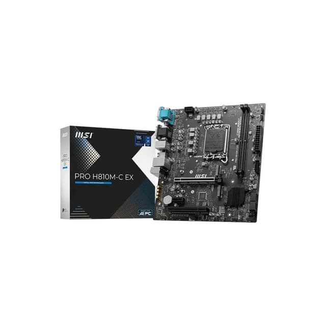 PRO H810M-C EX