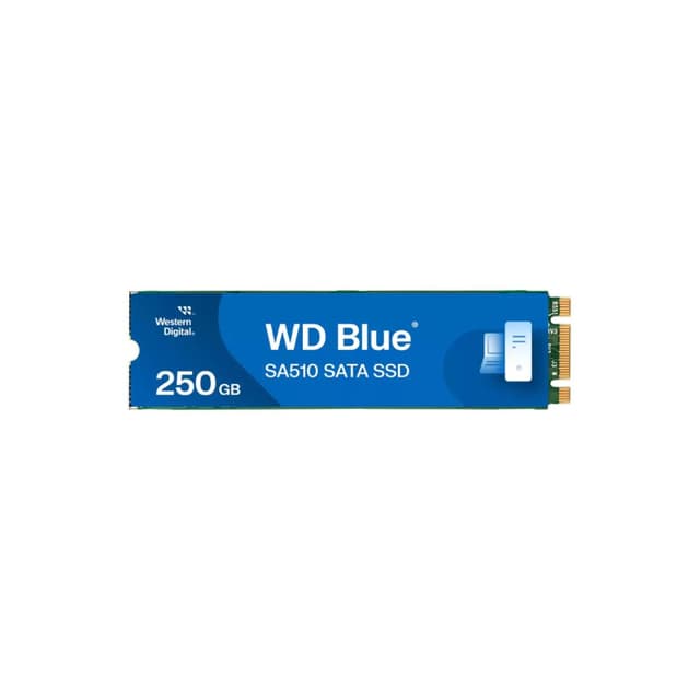WDSSD250GB-M.2 3DNAND 5YEAR SA510